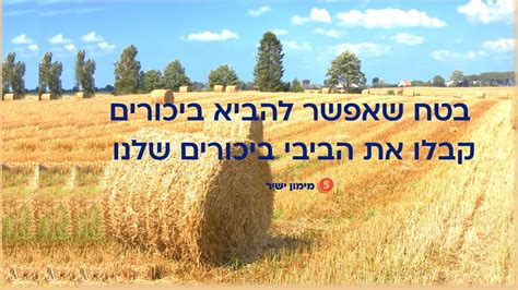 renegade games|Mimun Yashir מימון ישיר .